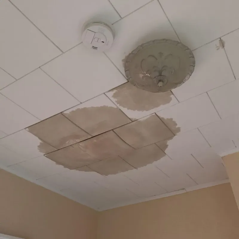 Ceiling Water Damage Repair in Gladeview, FL