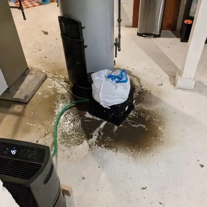 Sewage Backup Cleanup Service in Gladeview, FL